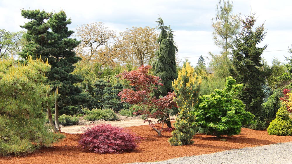 Garden-shot-landscape-overview-display