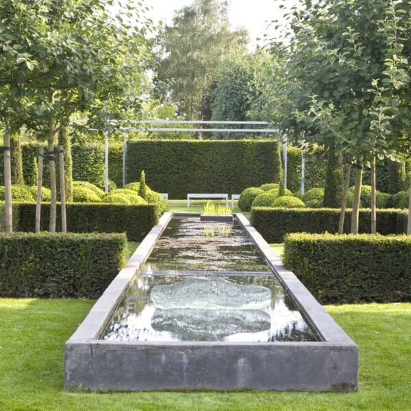 Taxus x media 'Hicksii' hedge in formal gardens