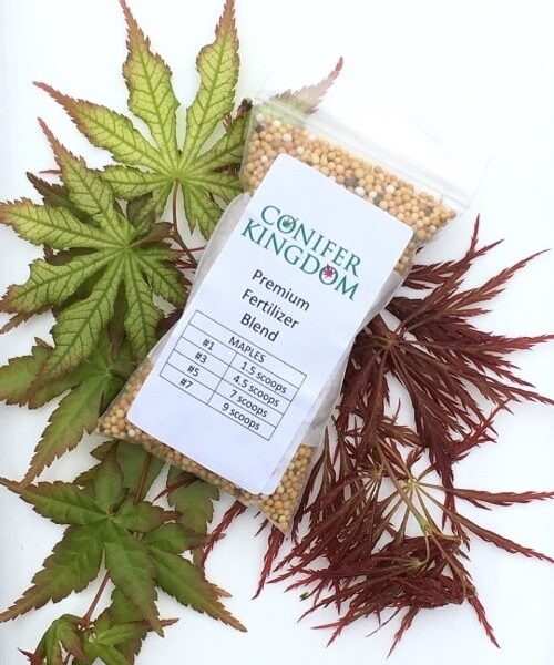 Large Maple Fertilizer