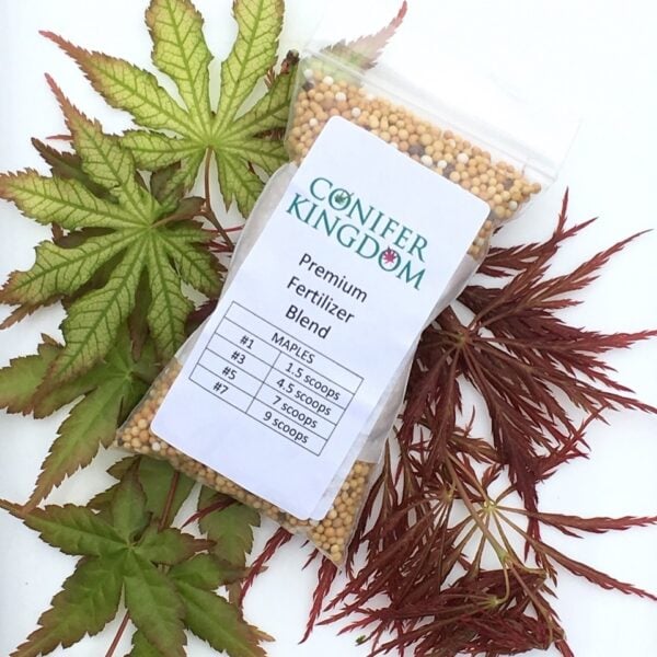 Maple Fertilizer Blend Conifer Kingdom