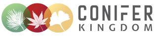 Conifer Kingdom