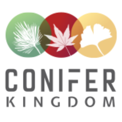 (c) Coniferkingdom.com