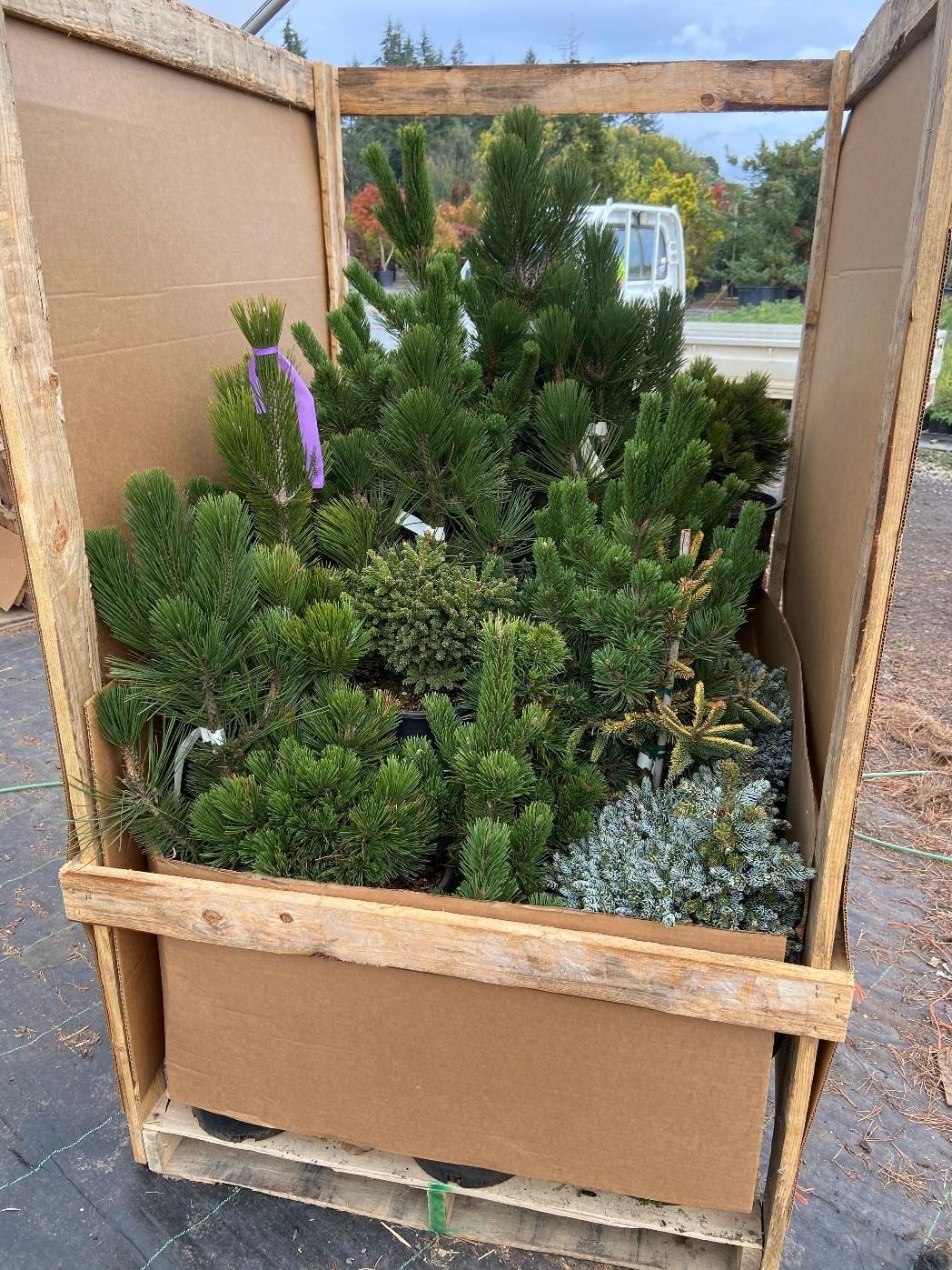 A customer’s order loaded on a pallet, being prepared for pickup