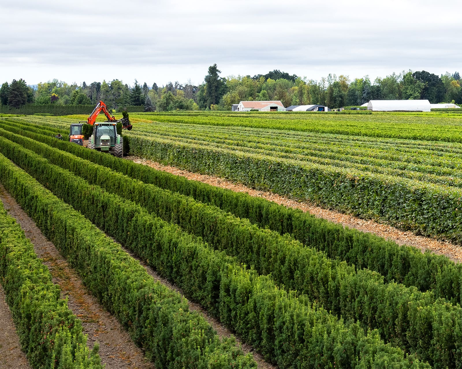 InstantHedge fields at Canby, Oregon