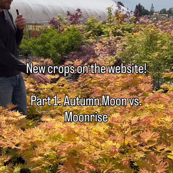 Join our community of growers