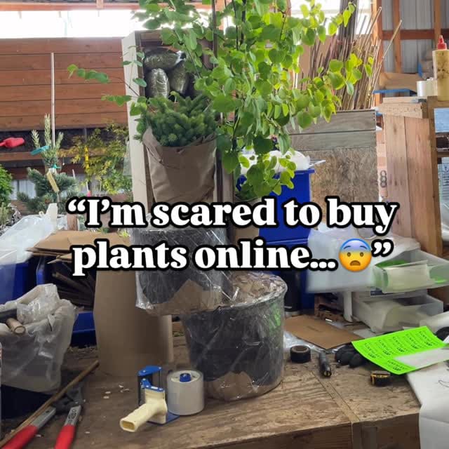 Join our community of growers
