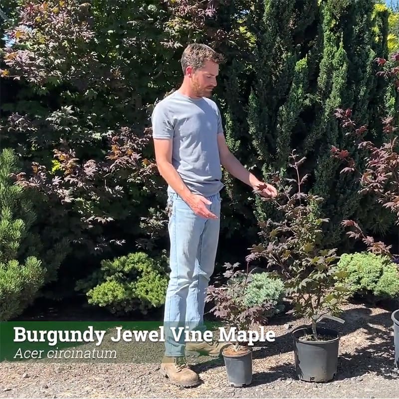 Join our community of growers
