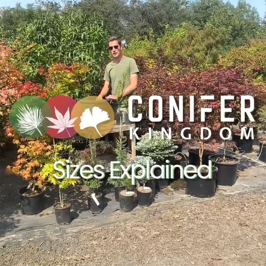 Join our community of growers