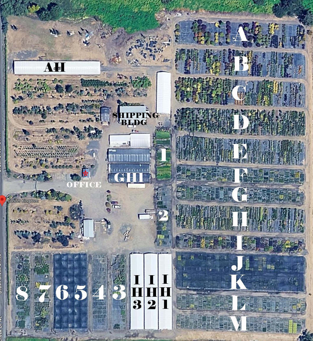Aerial map of the Conifer Kingdom nursery