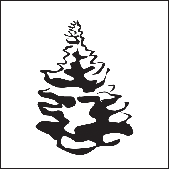 1-conical-spruce-or-fir-silberlocke.png