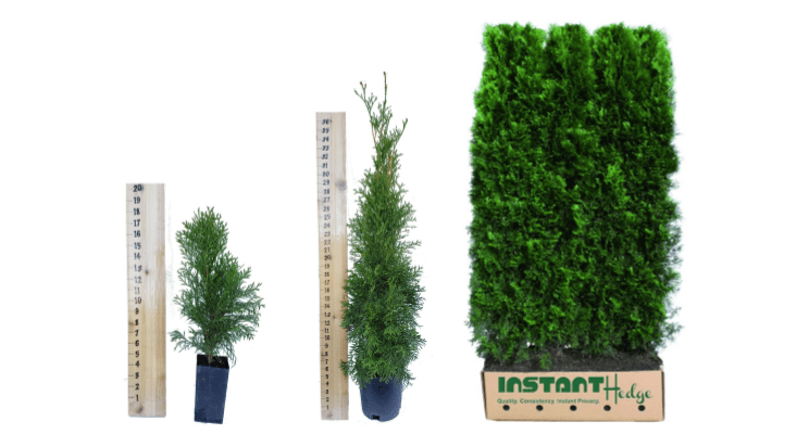emerald-green-3-sizes emerald-green-3-sizes